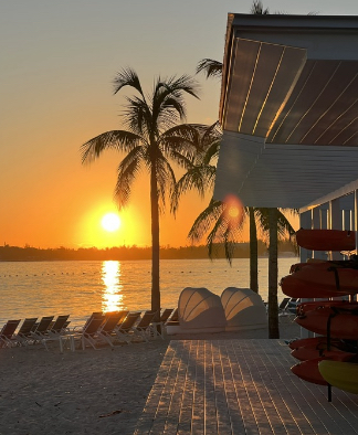 Palm Tree Beach Bahamas